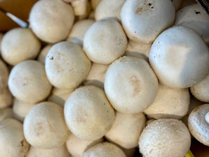 Mushrooms - White Button