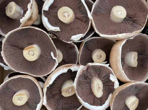 Portobello Mushrooms