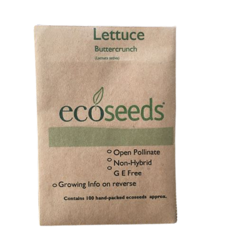 Organic Lettuce (Buttercrunch) Seeds