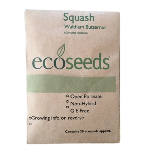 Eco Seeds Organic Butternut Squash (Waltham) Seeds