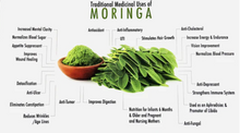 Organic Moringa Leaf Powder 250g