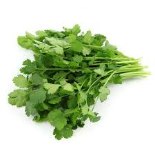 Eco seeds Coriander Seeds